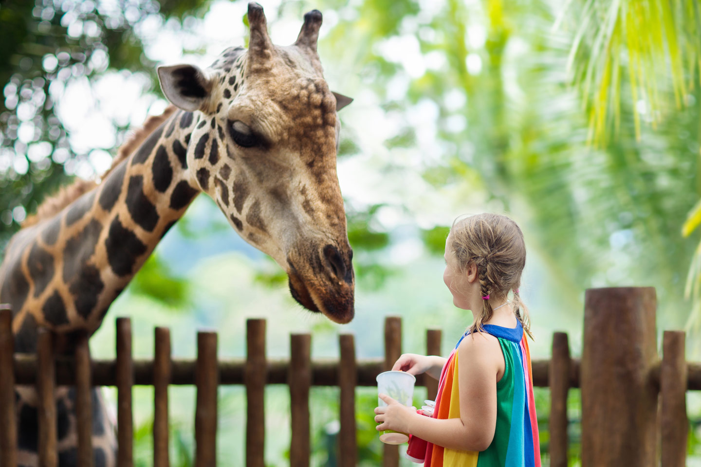 Chester Zoo, Cheshire