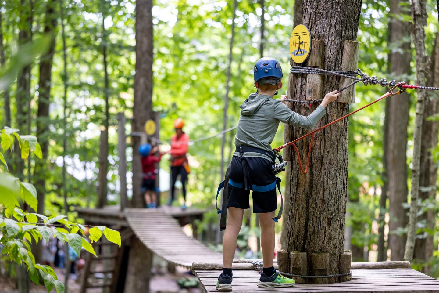 Go Ape Delamere Forest