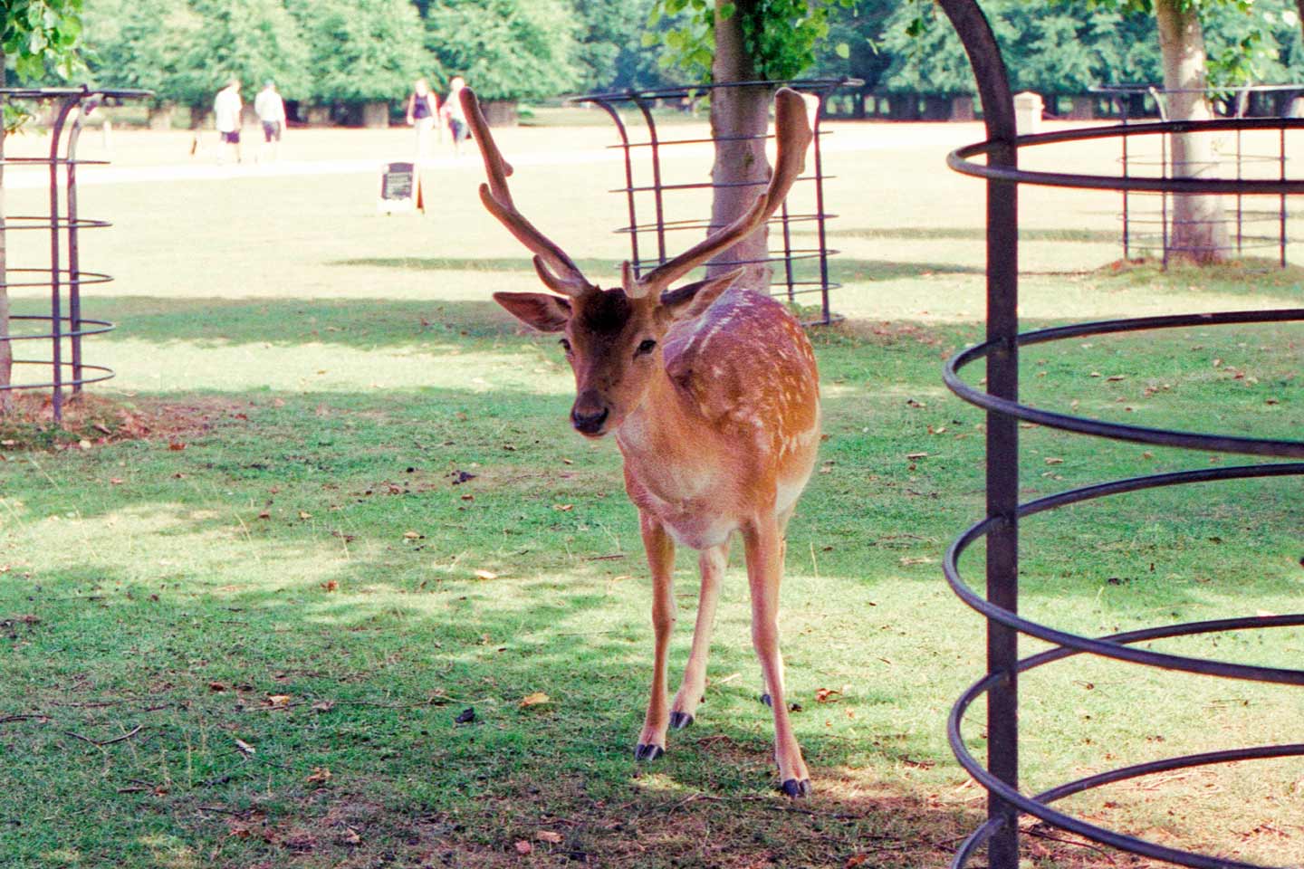 Tatton Park Knutsford Cheshire